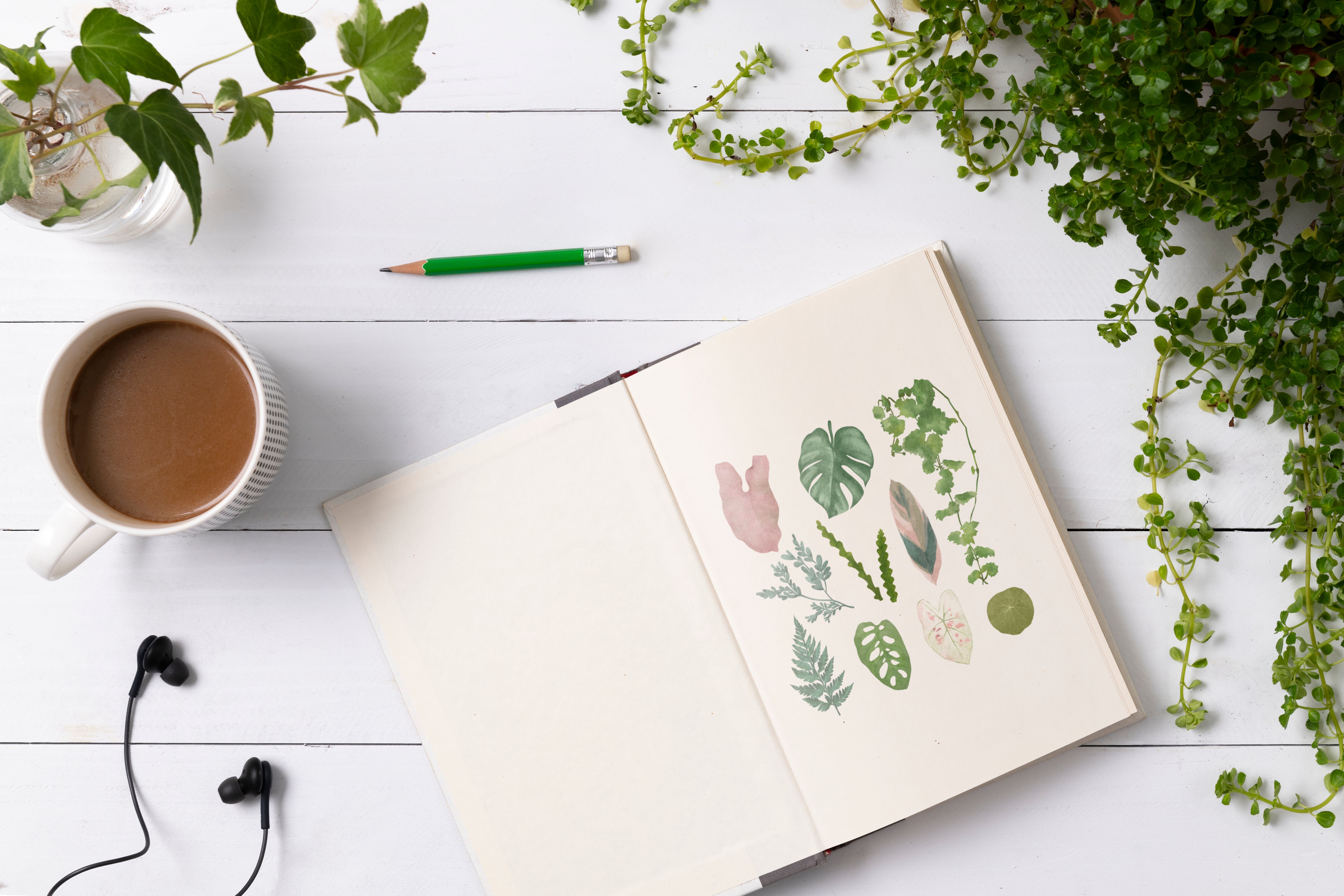 Plant Journal