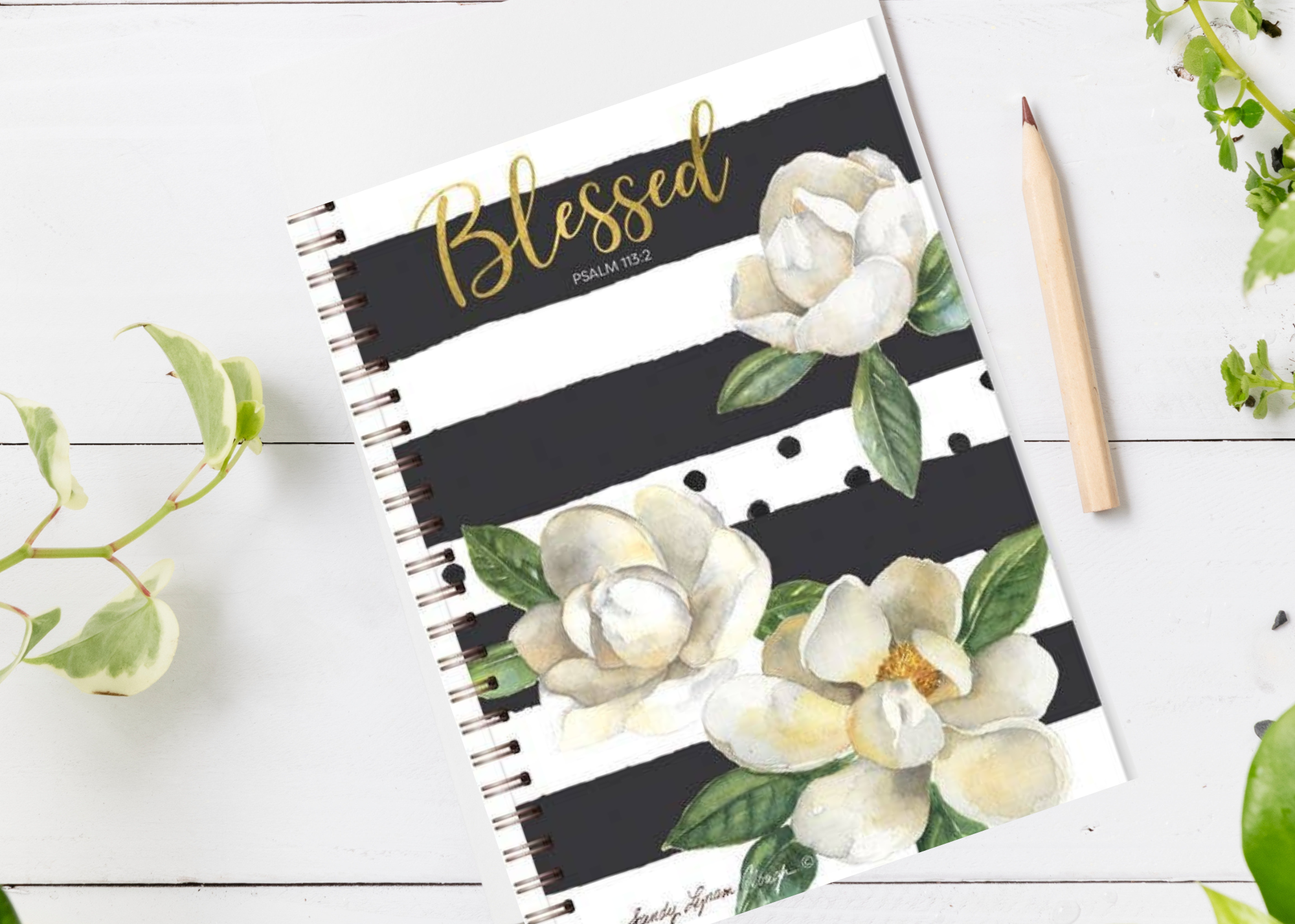 Spiral Bound Journals