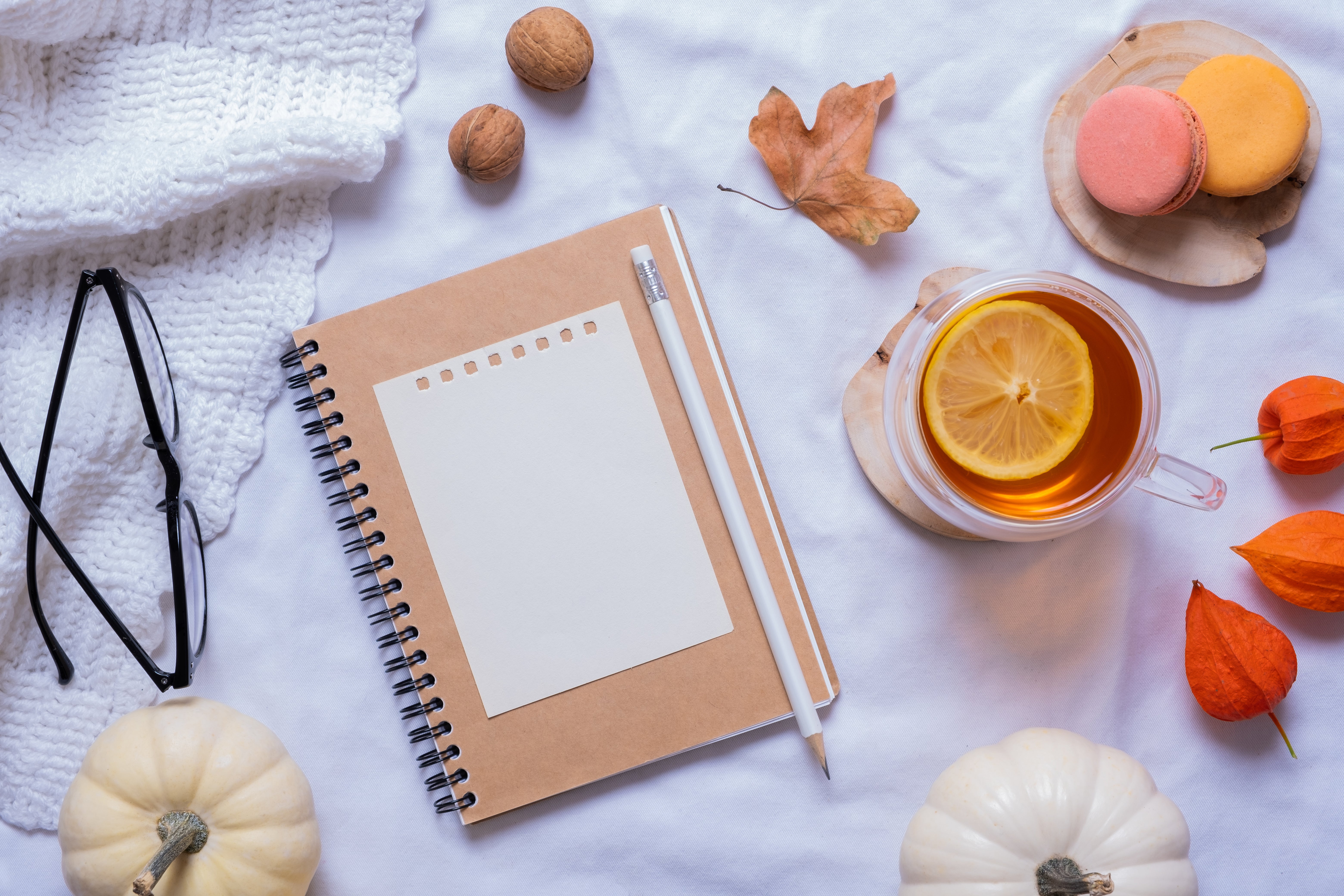 Wellness Journals