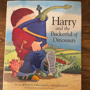 Harry and the Bucketful of Dinosaurs (hardcover)  by Ian Whybrow