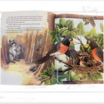 (3) Scholastic Books:  Pete the Cat, Chester The Brave, Dinosaurs Christmas