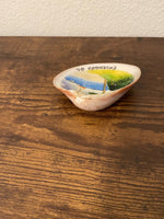 Hand-Painted Clam Shells of Ensenada and Hawaii