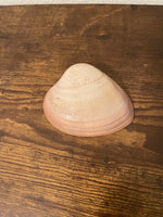 Hand-Painted Clam Shells of Ensenada and Hawaii